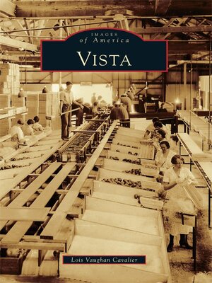 cover image of Vista